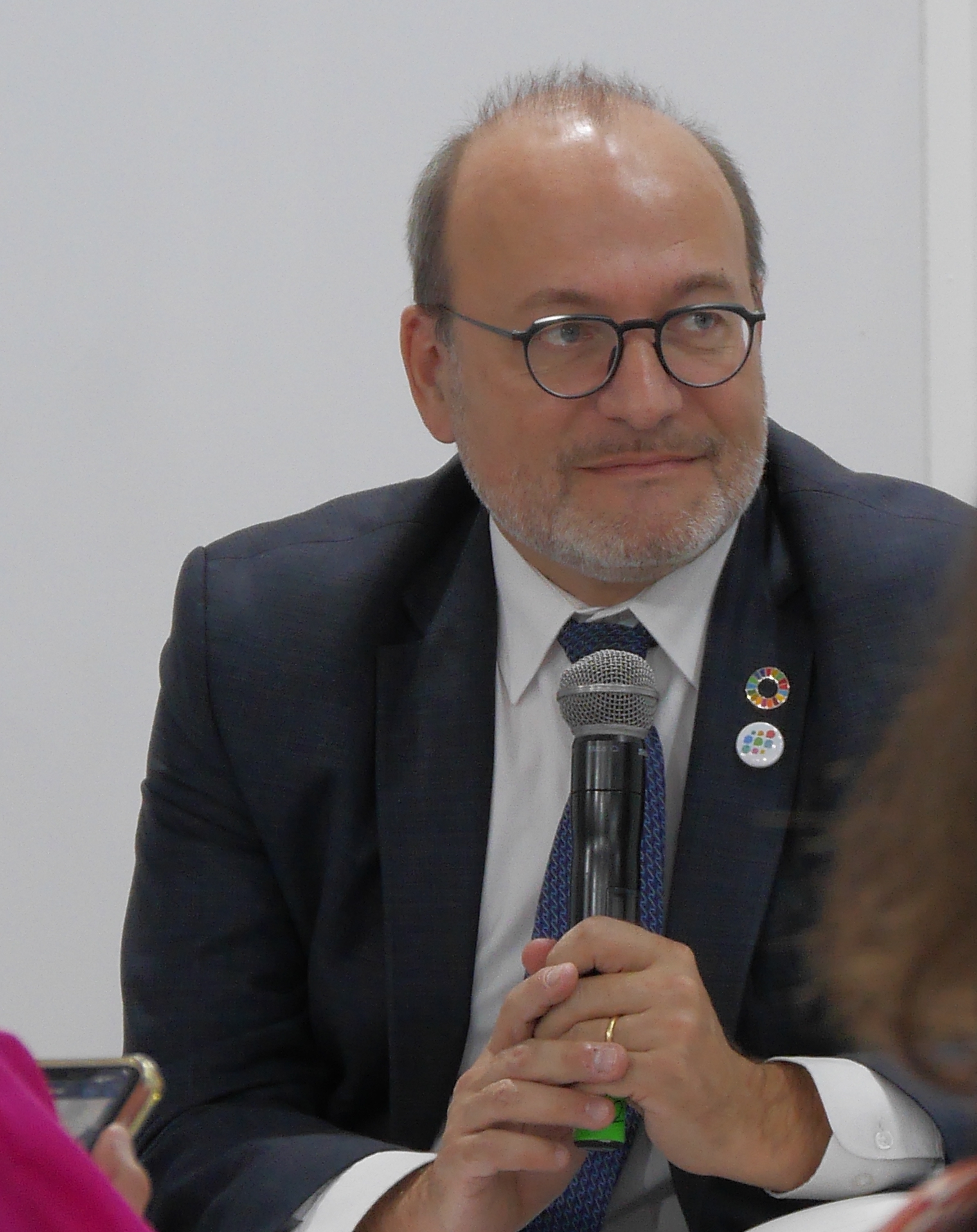 Rémy Rioux, AFD Director General, speaks at COP27